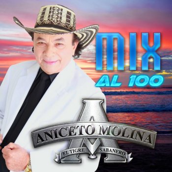 Aniceto Molina Palito de Virtud - Remix