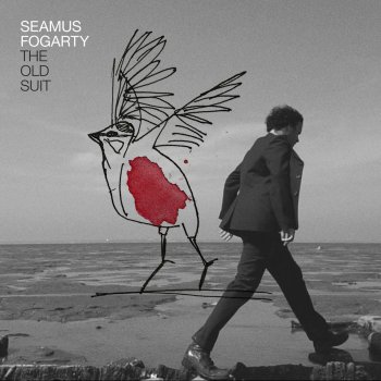 Seamus Fogarty Seems Wherever (James Yorkston Remix)