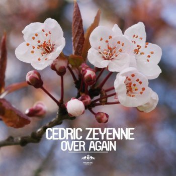 Cedric Zeyenne Over Again - Original Mix