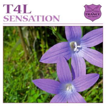 T4L Sensation (Akira Kayosa & Bevan Miller Remix)