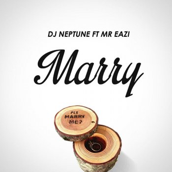DJ Neptune feat. Mr Eazi Marry