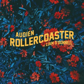 Audien feat. Liam O'Donnell Rollercoaster