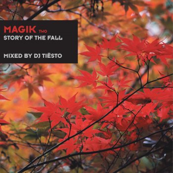 DJ Tiesto Continuous Mix Magik Two