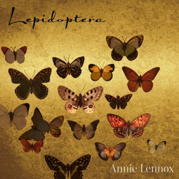 Annie Lennox Papilio Machaon