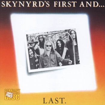 Lynyrd Skynyrd Down South Jukin'