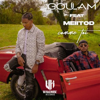 Goulam feat. Meiitod Comme Toi (feat. Meiitod)