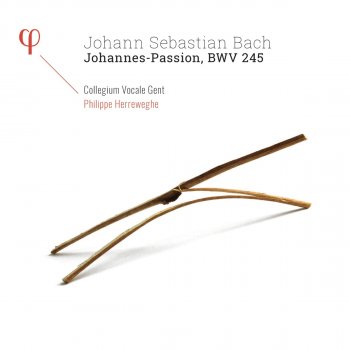 Johann Sebastian Bach feat. Collegium Vocale Gent, Philippe Herreweghe & Robin Tritschler Johannes-Passion, BWV 245, Pt. 2: VI. Erwäge, wie sein blutgefärbter Rücken (Aria)