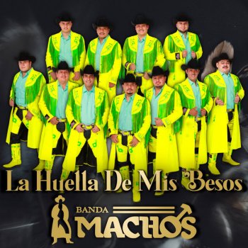 Banda Machos Caminos De Michoacan