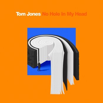 Tom Jones No Hole In My Head - Single Edit