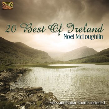 Noel McLoughlin feat. Noel McLoughlin Group The Galway Races