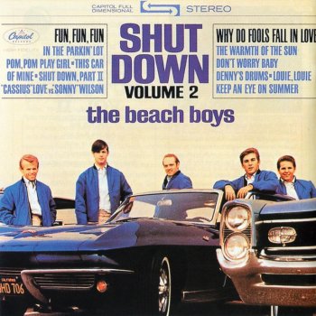 The Beach Boys The Warmth of the Sun
