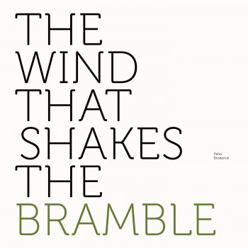 Peter Broderick The Wind That Shakes the Bramble