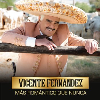 Vicente Fernández No Me Platiques Más