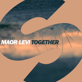 Maor Levi Together