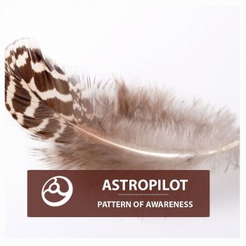 Astropilot A Drowning
