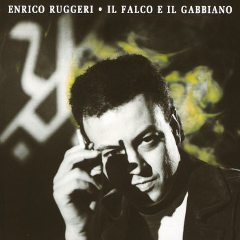 Enrico Ruggeri Il volo del falco e del gabbiano