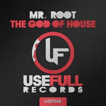 Mr. Root The God Of House - Original Mix