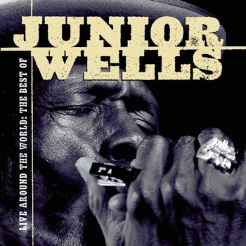 Junior Wells Messin' With the Kid (Live)