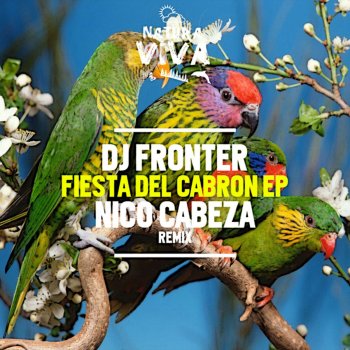 DJ Fronter Warning - Nico Cabeza Remix