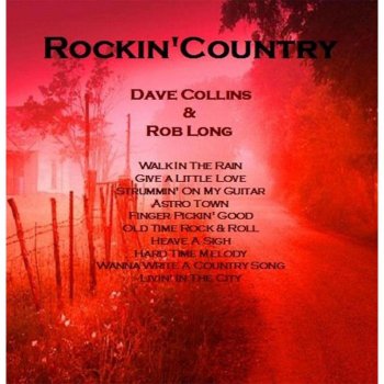 Dave Collins Wanna Write a Country Song