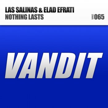 Las Salinas feat. Elad Efrati Nothing Lasts - Original Mix