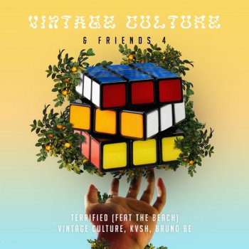 Vintage Culture feat. KVSH, Bruno Be & The Beach Terrified