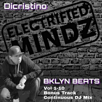 DiCristino Bklyn Beats, Vol. 1-10 (Live DJ Set) [MIXED]
