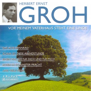 Herbert Ernst Groh Naechte Beim Klang Der Mandolinen