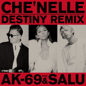 Che'Nelle feat. AK-69 & SALU Destiny (Remix)