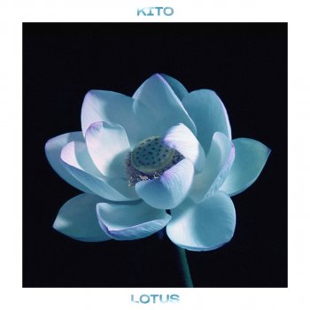 Kito Lotus