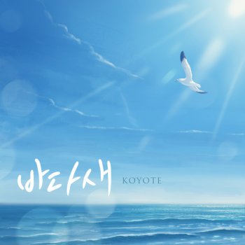 Koyote Sea bird - Instrumental