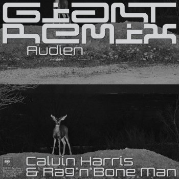 Calvin Harris feat. Rag'n'Bone Man & Audien Giant (with Rag'n'Bone Man) - Audien Remix