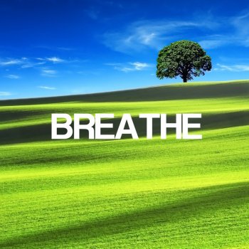 Breathe Dreams (Ambient Music Nature Music for Sleep, Yoga and Relaxation)
