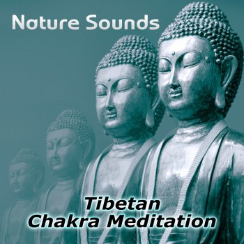 Chakra Healing Music Academy Inner Peace