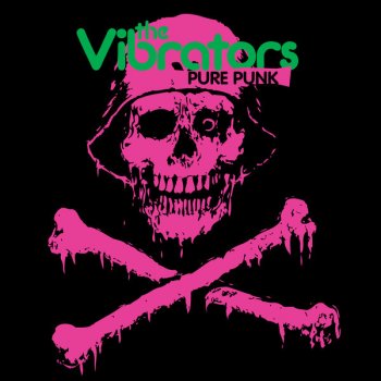 The Vibrators Sheena Is A Punk Rocker