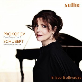 Franz Schubert feat. Elisso Bolkvadze 4 Impromptus, D. 899: No. 1 in C Minor (Allegro molto moderato)