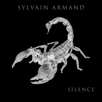 Sylvain Armand Silence
