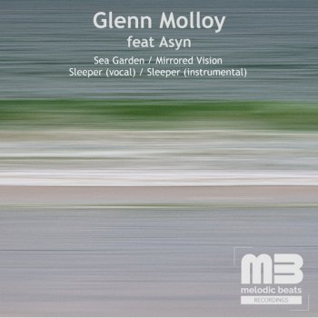 Glenn Molloy Mirrored Vision