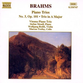 Johannes Brahms feat. Vienna Piano Trio Piano Trio No. 3 in C Minor, Op. 101: I. Allegro energico