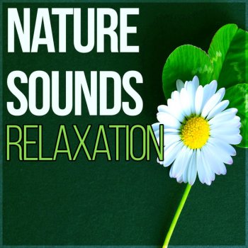 Hypnosis Nature Sounds Universe Healing Flute Chakras