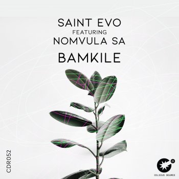 Saint Evo Bamkile (feat. Nomvula SA)