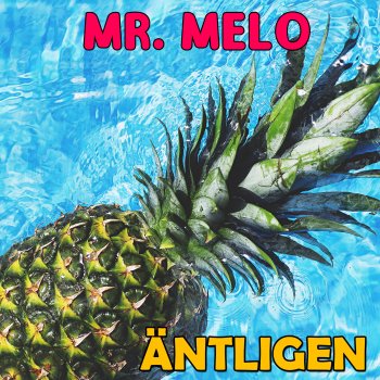 Mr. Melo Äntligen - Radio Edit
