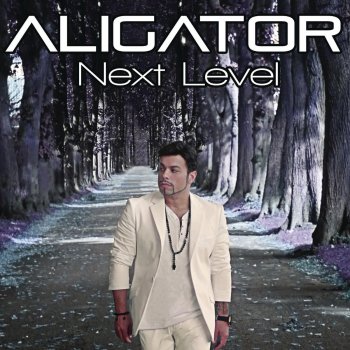 Aligator feat. Sarah West Be With You