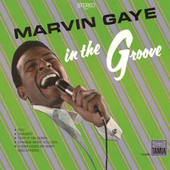 Marvin Gaye I Heard It Through the Grapevine