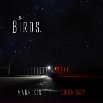 Mannikin Birds (feat. Clinton Bailey)