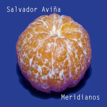 Salvador Aviña feat. Julio Fowler Tu Ausencia (feat. Julio Fowler)