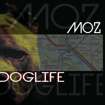 Moz Dog life