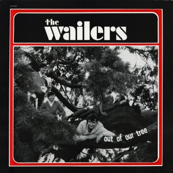 The Wailers Baby Don't Do It