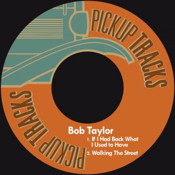 Bob Taylor If I Had Back What I Used to Have