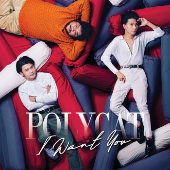 Polycat อาวรณ์ - Live in Polycat I Want You Concert